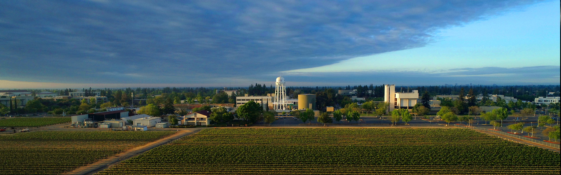 Aerial view of the Fresno State campus